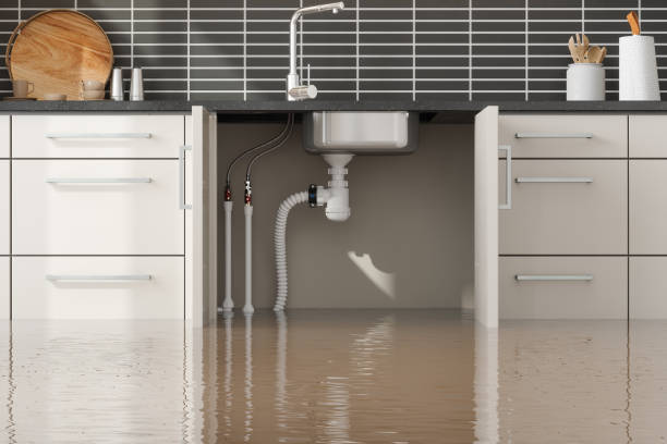 Best Ceiling water damage repair  in Countryside, VA